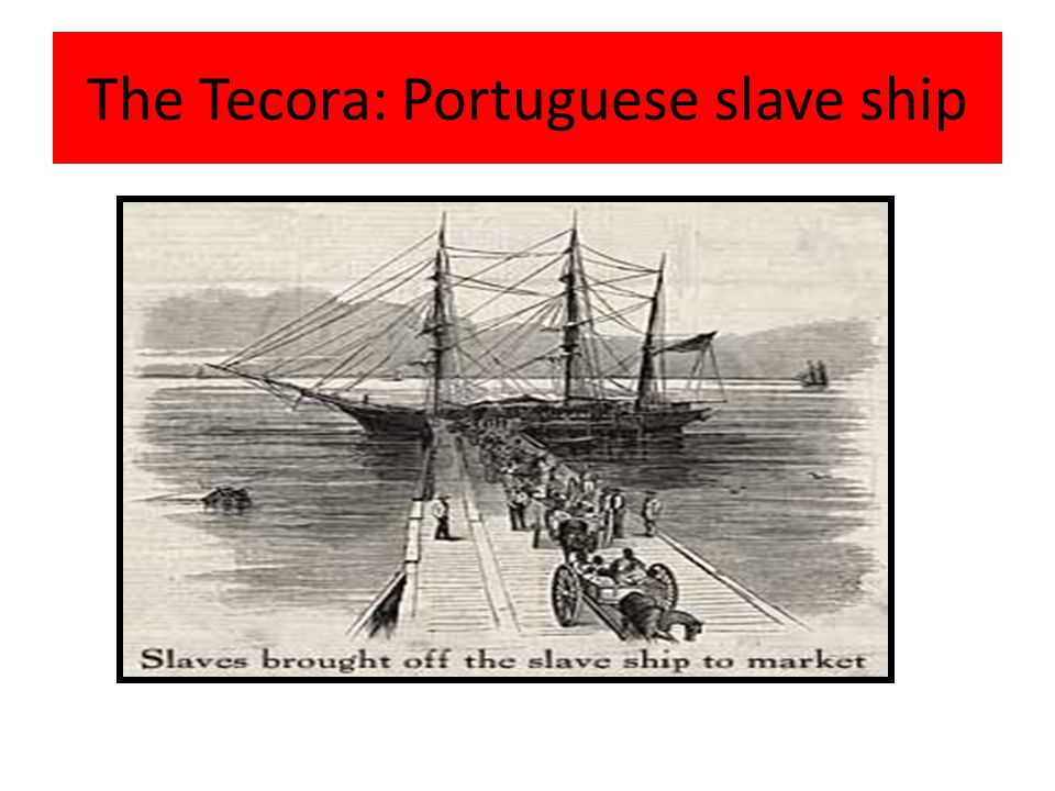 The Tecora: Portuguese slave ship