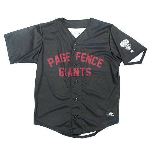 Page Fence Giants - Team Logo